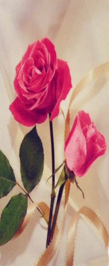 689 DLJ-508-PK Ribbon And Rose Pink